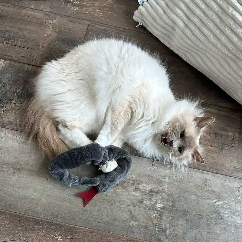 jouet pour chat forme serpent long cataire france doudou gris sacre de birmanie joujou