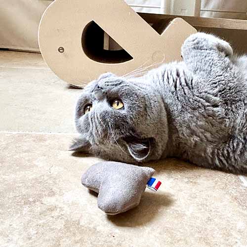 Jouet pour chat en forme de cœur beige de chez Homycat