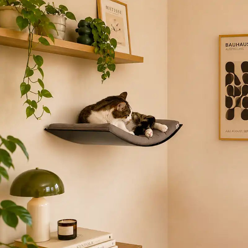 Lit mural pour chat - matelas couleur Taupe - Taupe argenté
