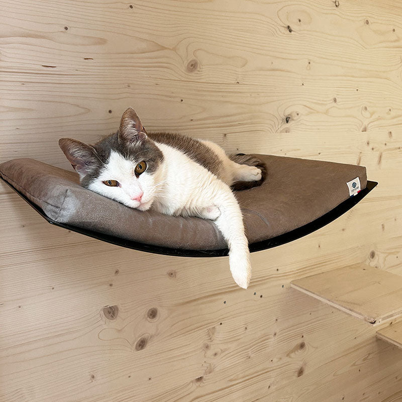 lit mural pour chat design facile d'entretien france homycat