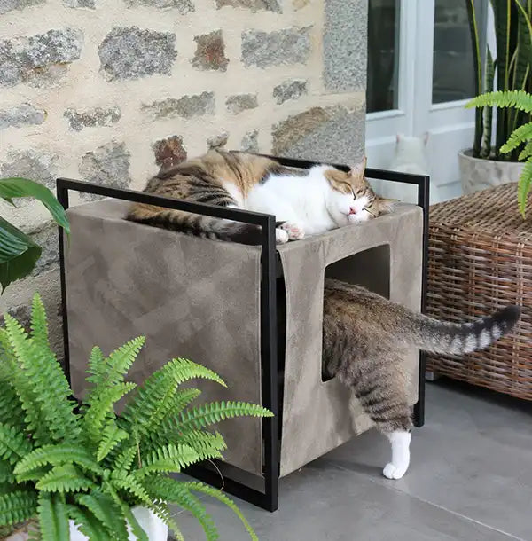 litiere design pour chat tissu metal france homycat