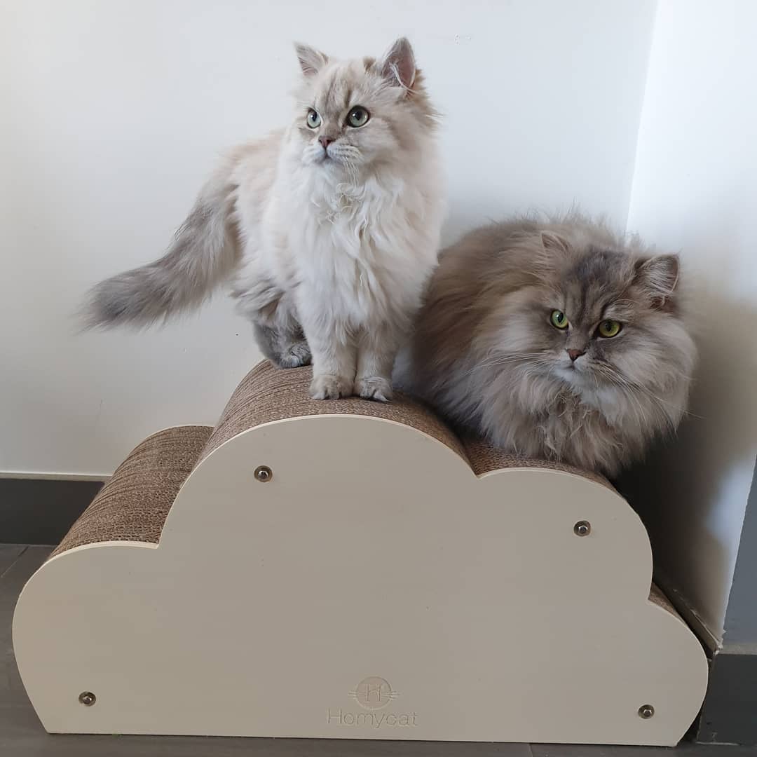 Griffoir Nuage XL