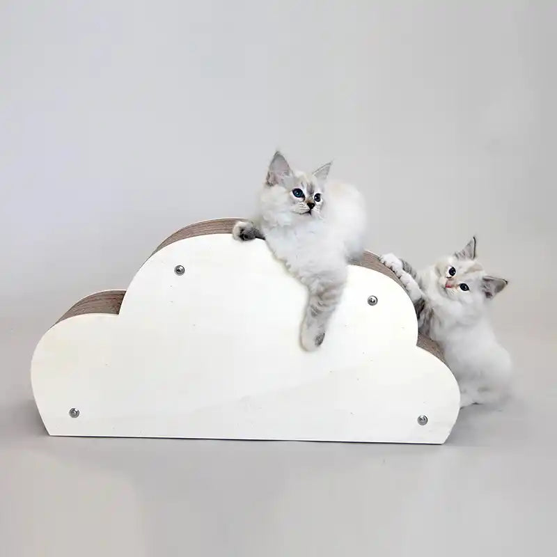 Griffoir Nuage