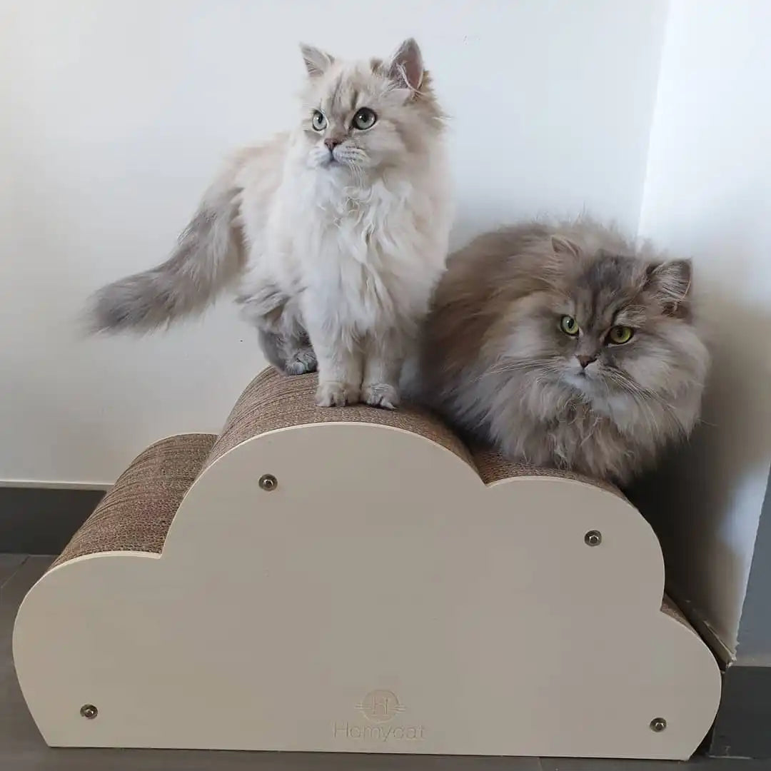 Griffoir Nuage