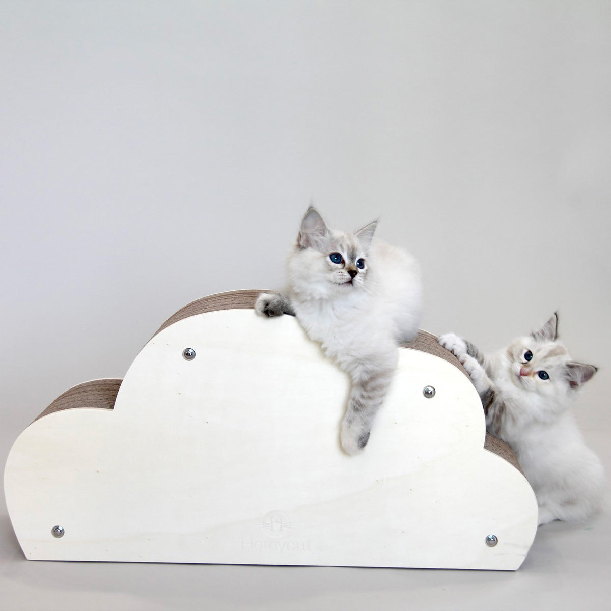 Griffoir Nuage XL