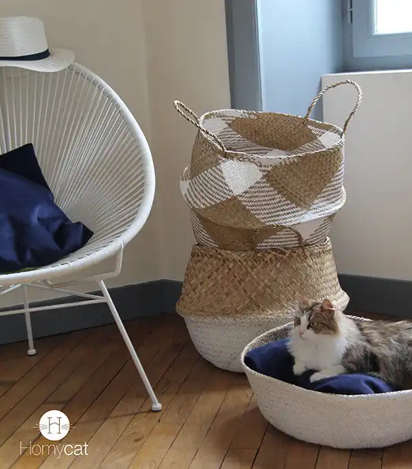 Pack : Panier Naturel Pompons blancs + Coussin
