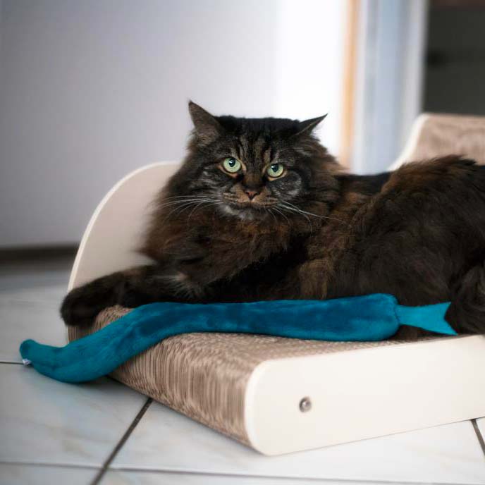 Jouet pour chat – Serpent en doudou avec cataire naturelle - NOUVEAU