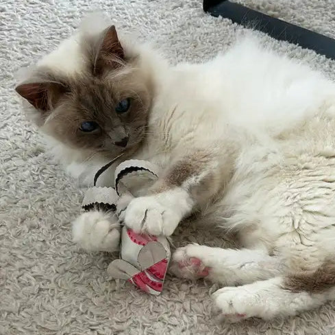 Souris - Jouet pour chat - catnip