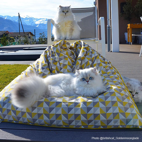 Chats qui se repose sur leur Berlingot XL Triangles Jaunes de chez Homycat