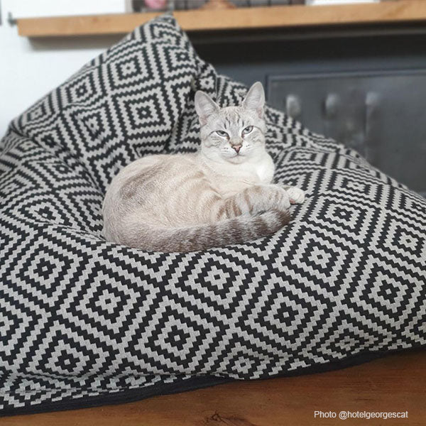 Chat sur un berlingot XL de chez Homycat