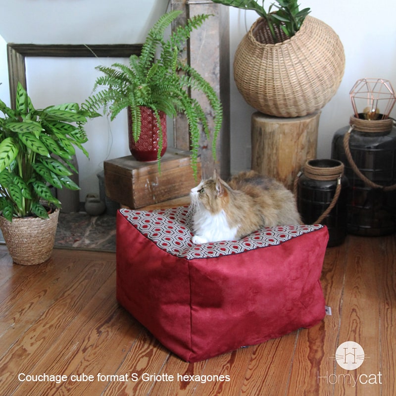 Chat allongé sur un cube format S griotte Hexagones de chez Homycat