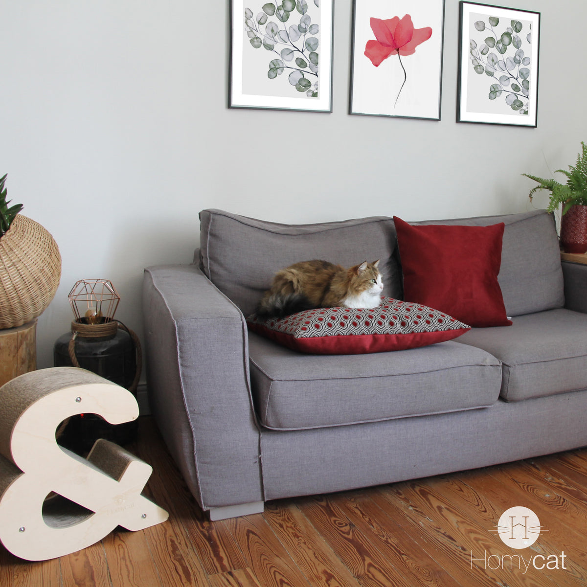 Coussin XL 55 x 55 cm - Griotte Hexagones - Beau couchage chat
