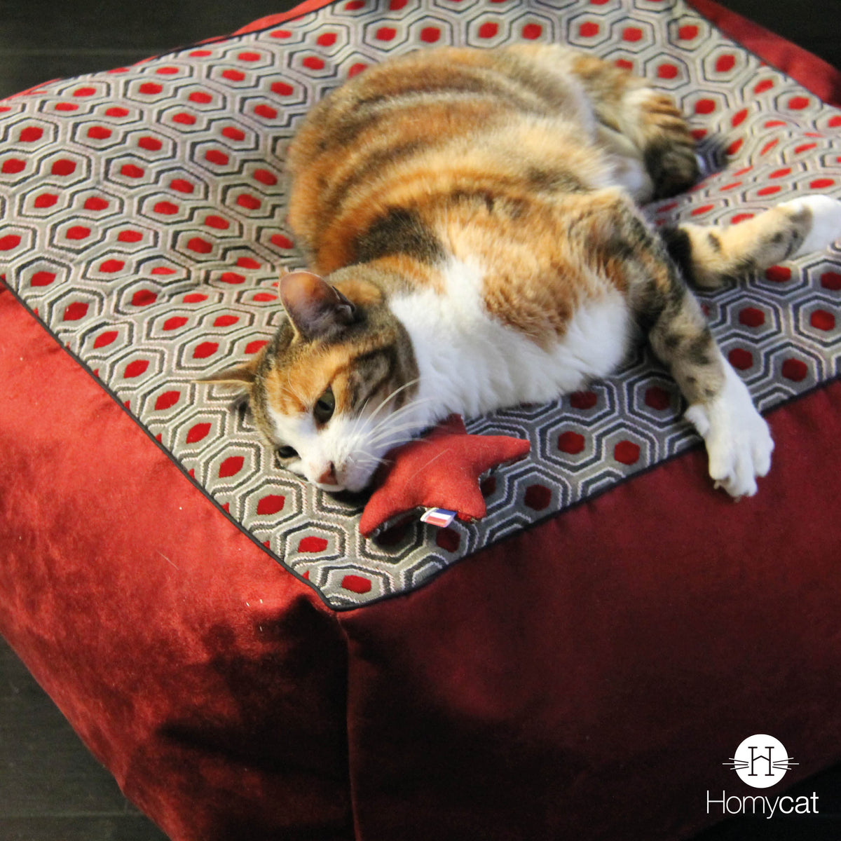 Jouet pour chat étoile griotte hexagones