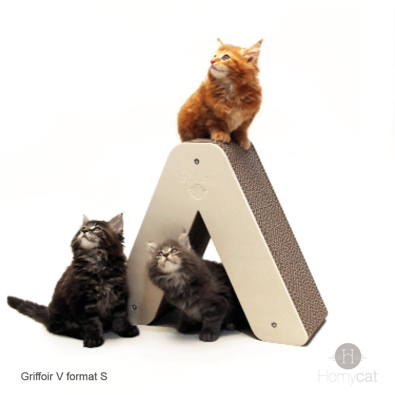 lettre-V-chaton-griffoir-tipi-cabane-homycat