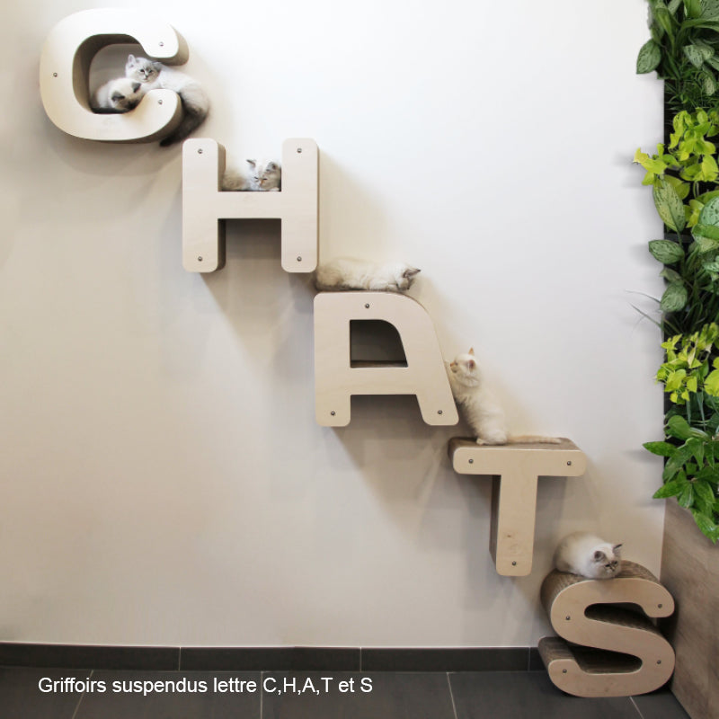 griffoirs-accrocher-au-mur-suspendre-chaton-carton-design-homycat