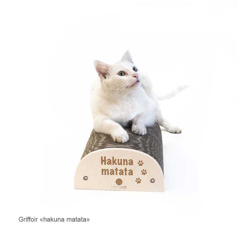 Griffoir humoristique - 7 citations au choix