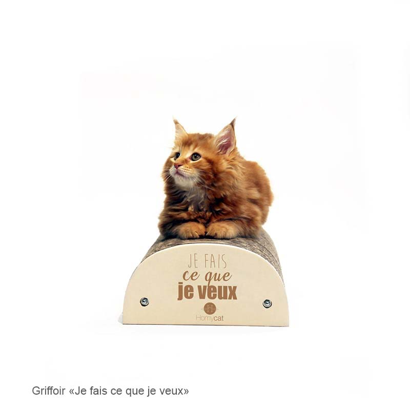 griffoir-citation-humoristique-chat-homycat-je-fais-ce-que-je-veux