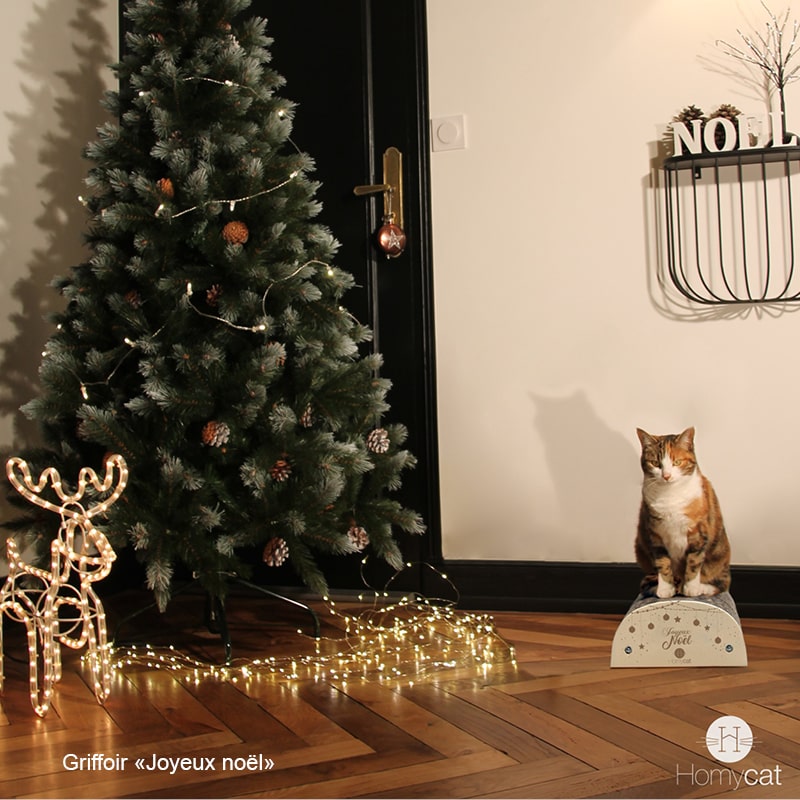 griffoir-citation-humoristique-chat-homycat-joyeux-noel