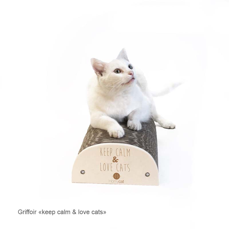 griffoir-citation-humoristique-chat-homycat-keep-calm-and-love-cats