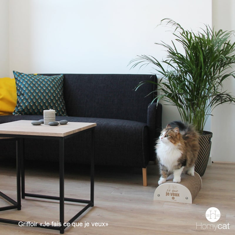 griffoir-citation-humoristique-chat-homycat-je-fais-ce-que-je-veux