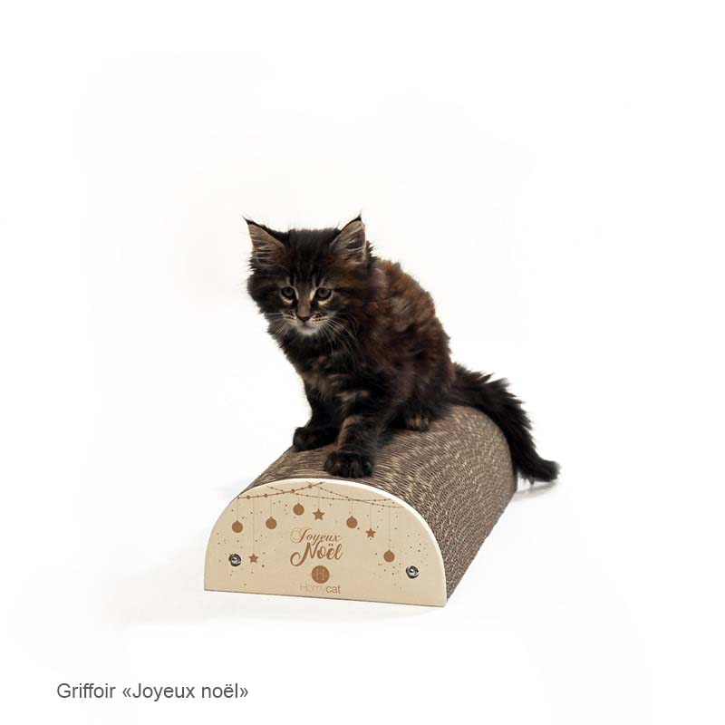griffoir-citation-humoristique-chat-homycat-joyeux-noel