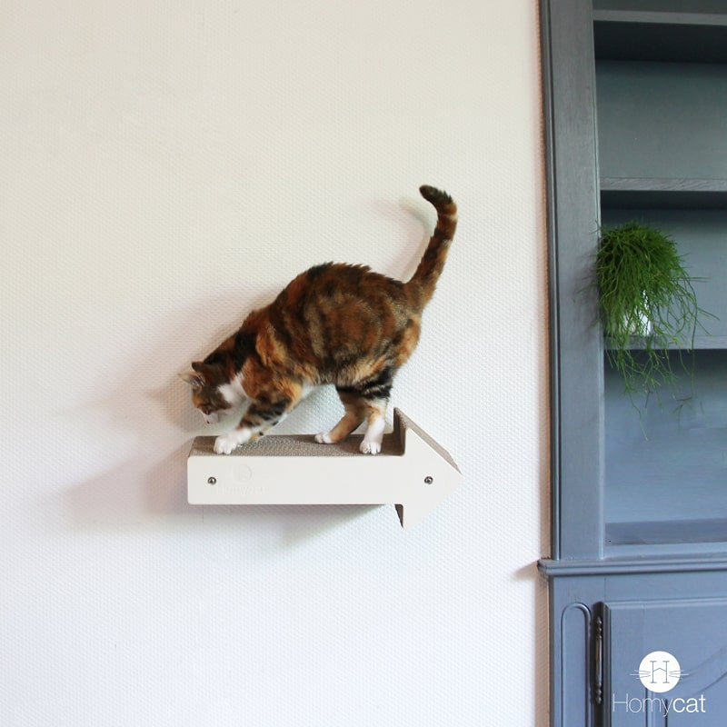 griffoir-forme-fleche-design-petit-chat-discret-carton-bois-homycat