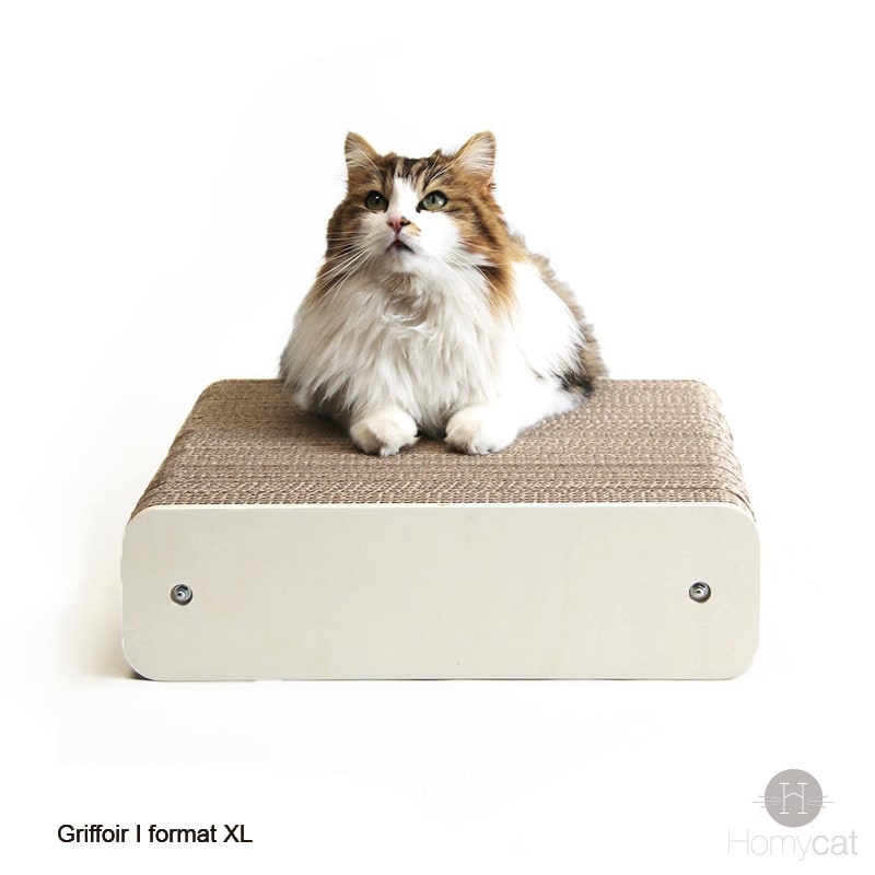 grattoir-griffoir-chat-poil-long-virux-chat-griffe-relax-homycat