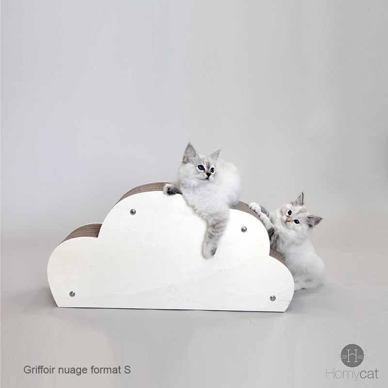 chat-nuage-chaton-carton-forme-nuage