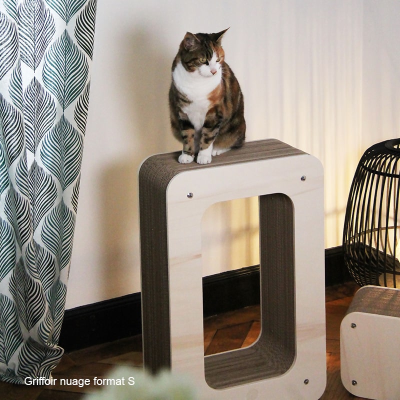 chat-cadre-perchoir-arbre-a-chat-appartement-maison