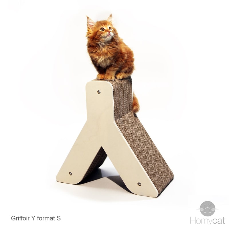 chaton-ragdoll-roux-mingon-sommet-griffoir-y-arbre-a-chat-homycat