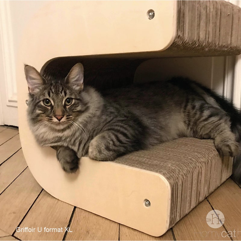 chat-dodo-zone-repo-griffe-cabane-multifonction-solide-durable-français-homycat