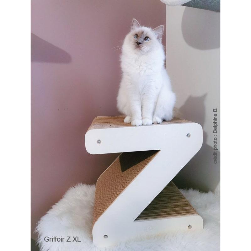 siberien-chat-lettre-z-homycat-design-cocooning-griffoir