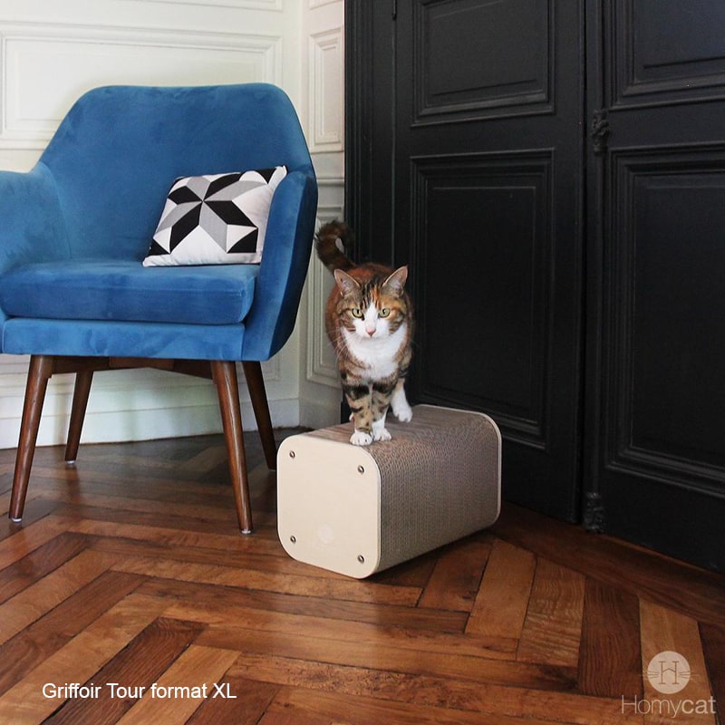 déco-appartement-chat-maison-griffoir-fauteuil-bleu-homycat