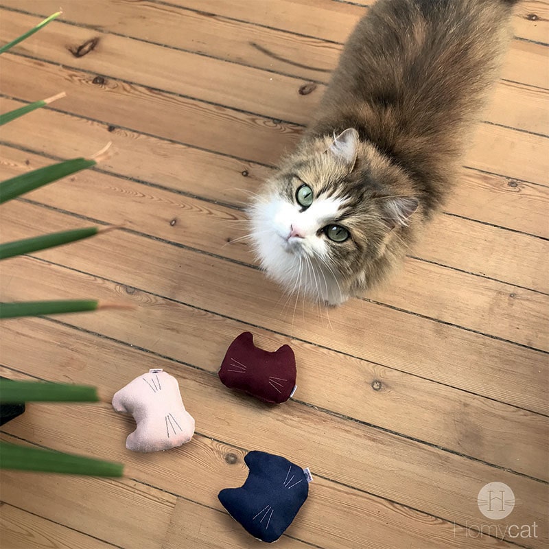 jouet tête de chat moustache tout doux pour chat