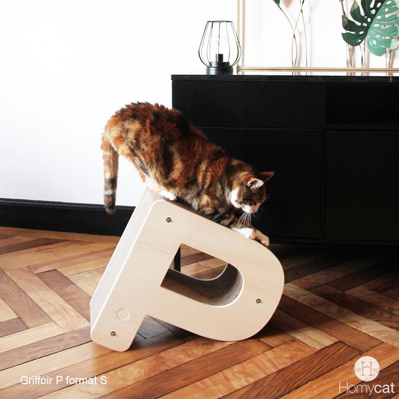 salon-deco-meuble-design-deco-homycat-lettre-p