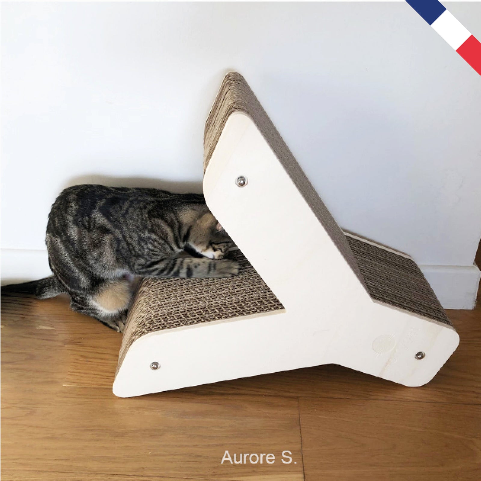 chaton-ragdoll-roux-mingon-sommet-griffoir-y-arbre-a-chat-homycat
