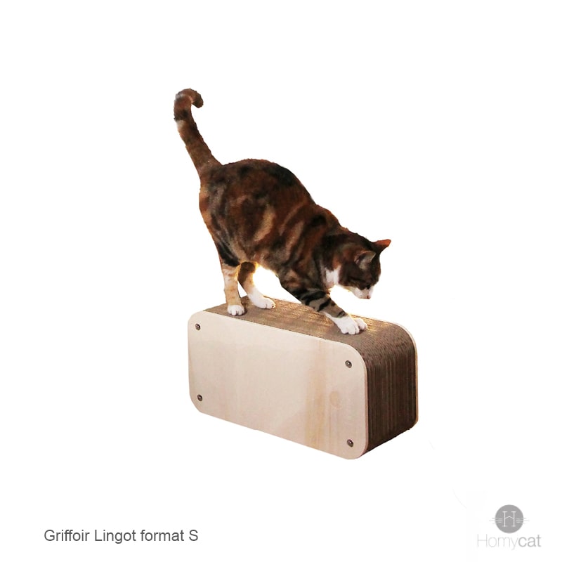 lingot-griffoir-grattoir-chat-rechargeable-homycat