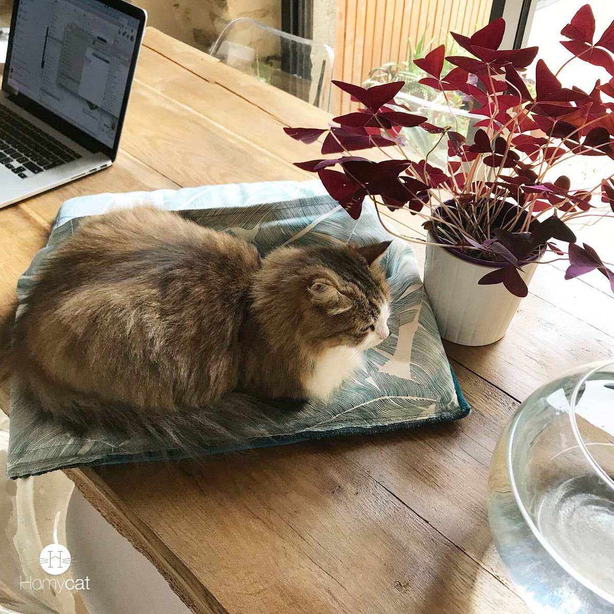 Le moelleux Emeraude Plume - Couchage pouf chat design