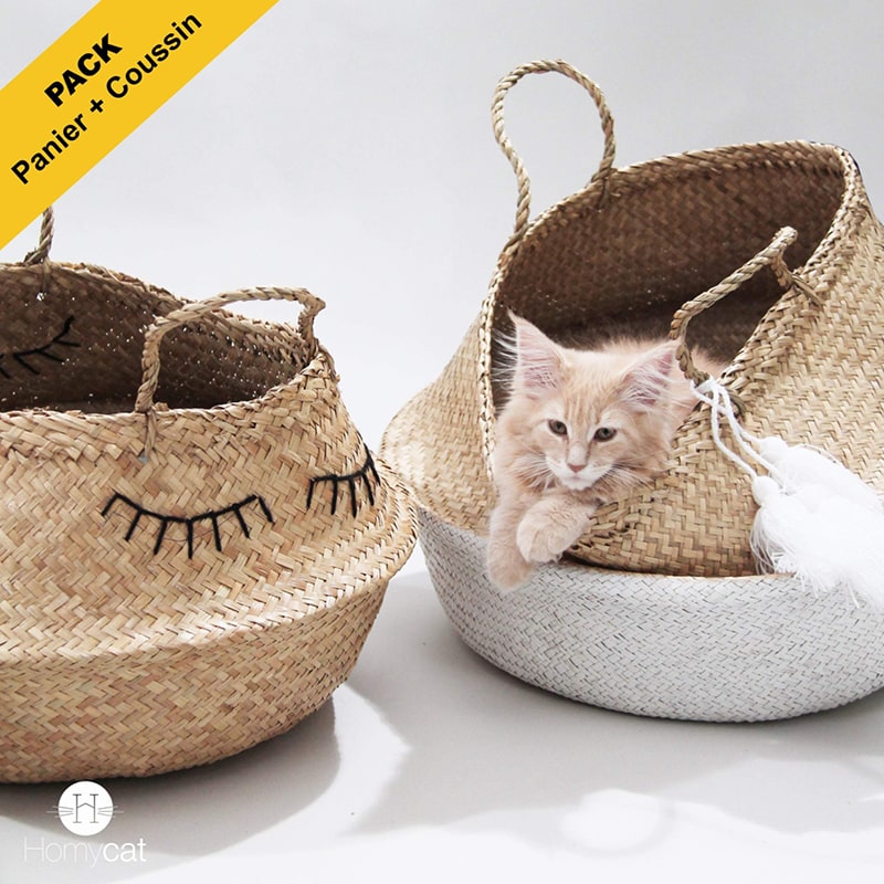 chat-mainecoon-dans-panier-cabane-niche-chat-blanc-pompons-deco-design-salon-homycat-grand-jonc