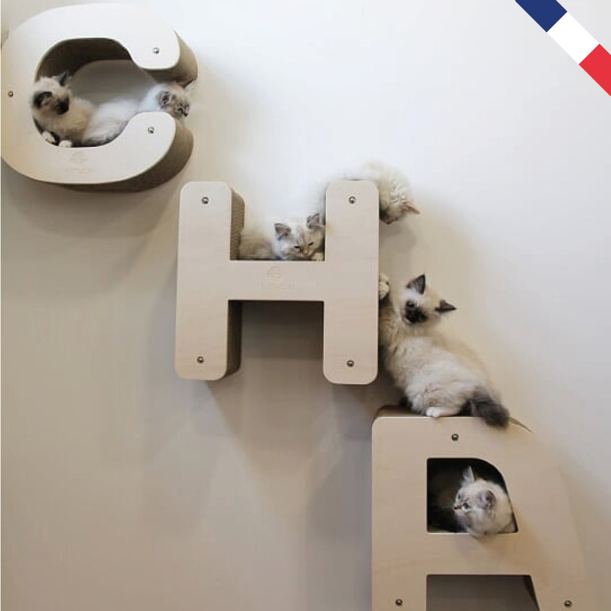 Pack "CHATS" - 5 lettres à poser (S ou XL) ou à accrocher au mur