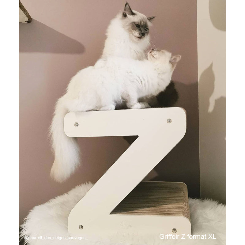 Lettres Griffoir et Formes XL pour chat au choix