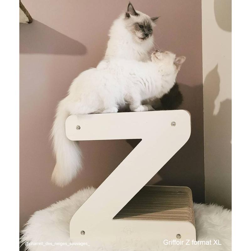 Lettres Griffoir XL pour chat au choix