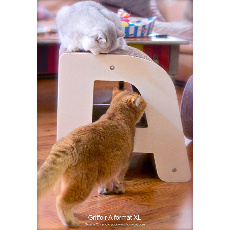 griffoir-lettre-a-pratique-multifonction-meuble-bois-france-homycat