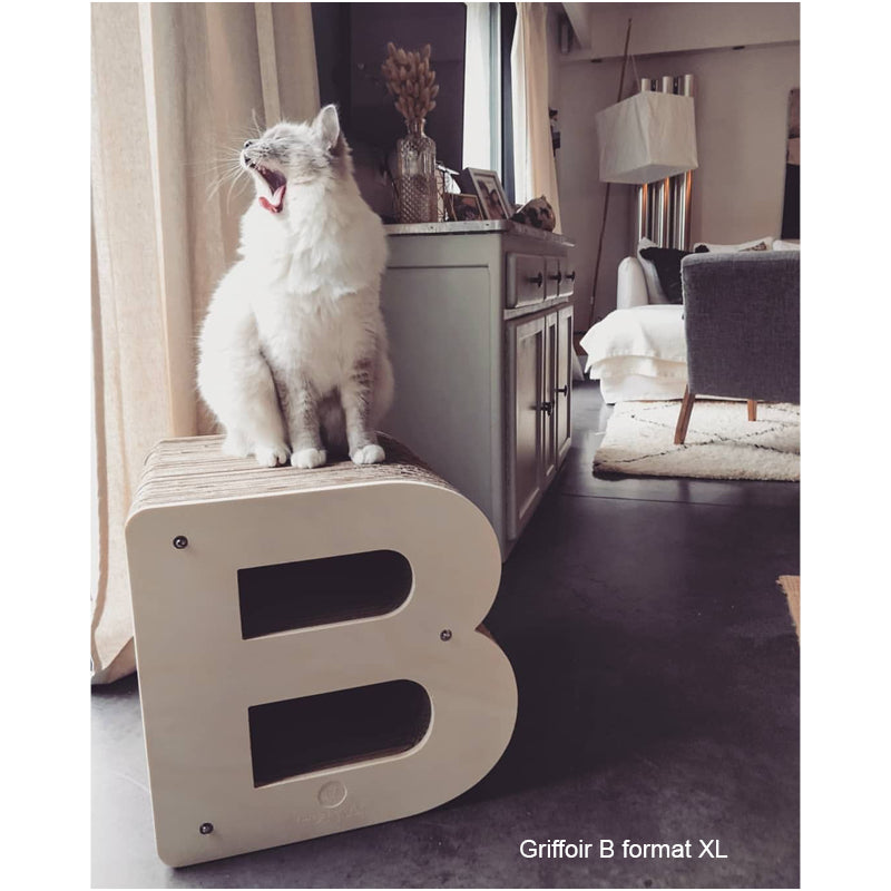 chat-baille-fatigue-salon-lettre-b-élégant-discret-mobilier-homycat