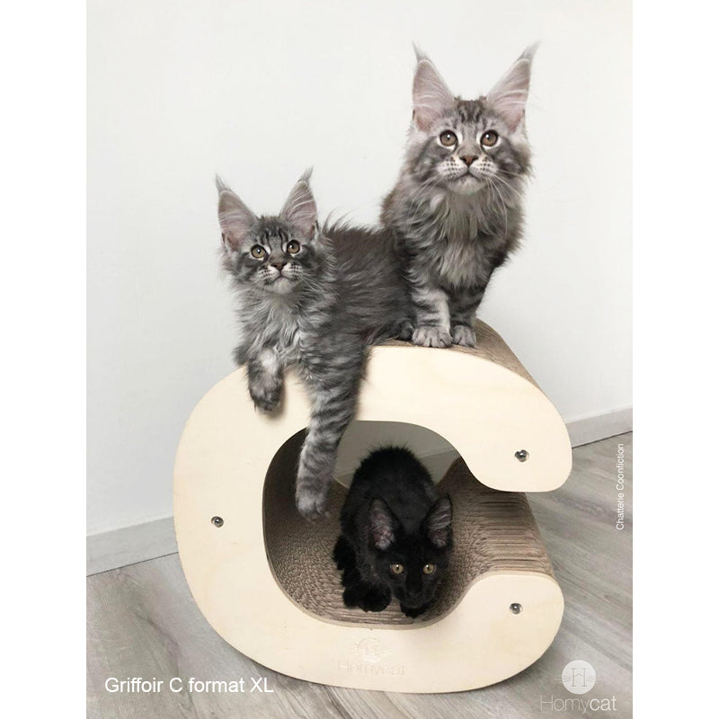mainecoon-chat-griffoir-cachette-cabane-niche-blanc-grand-homycat