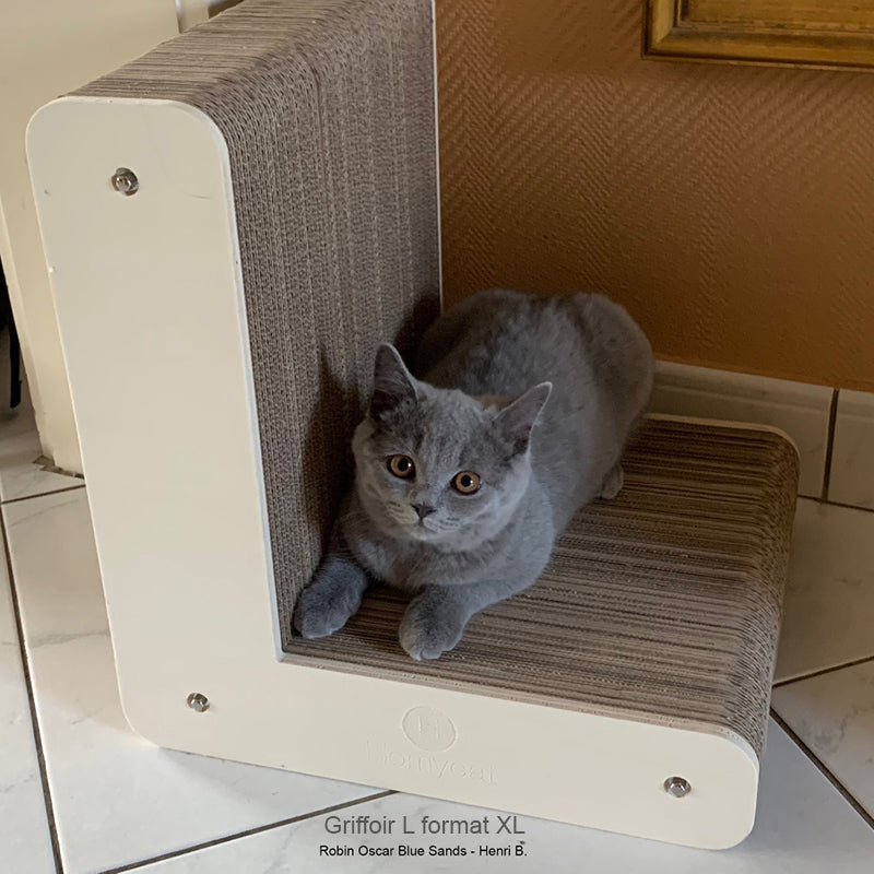 british-gris-confort-lettre-l-siège-chat-griffoir-carton-qualité-solide-haut-de-gamme-homycat