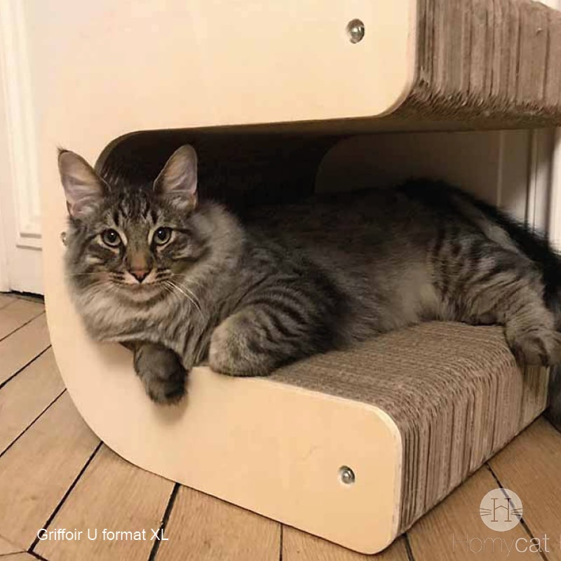 cabane-lettre-u-poser-relax-pratique-haut-de-gamme-grattoir-homycat