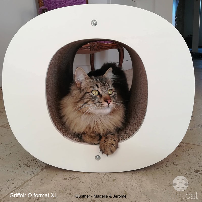griffoir-rond-chat-cabane-niche-rechargeable-france