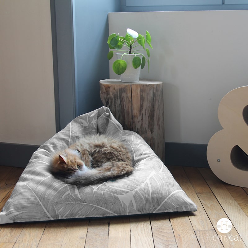 Chat endormie sur un berlingot plume gris de chez homycat