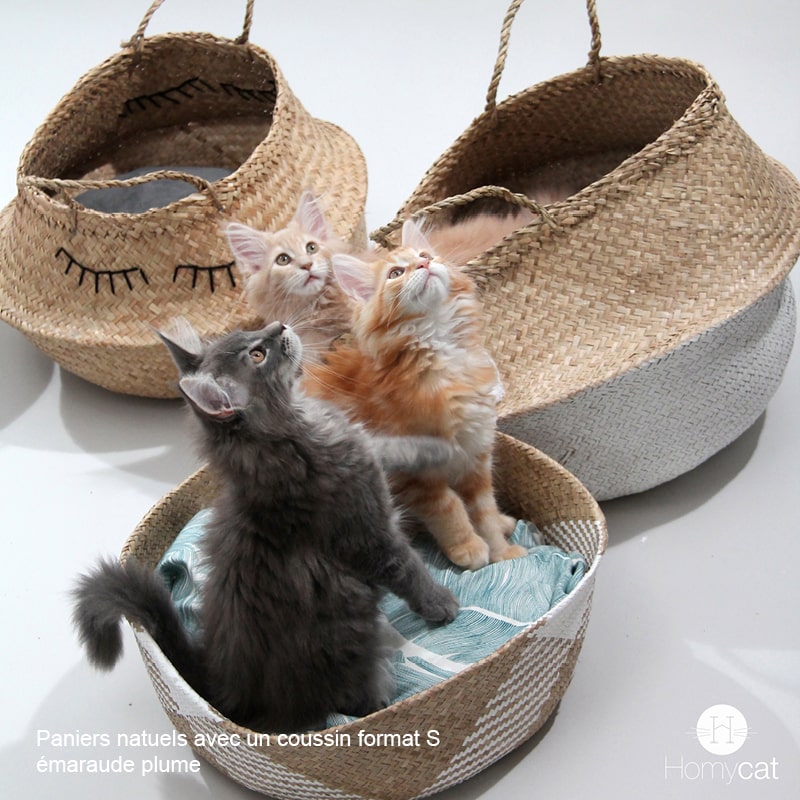 Coussins S pour Panier chat ou Déco - SOLDES